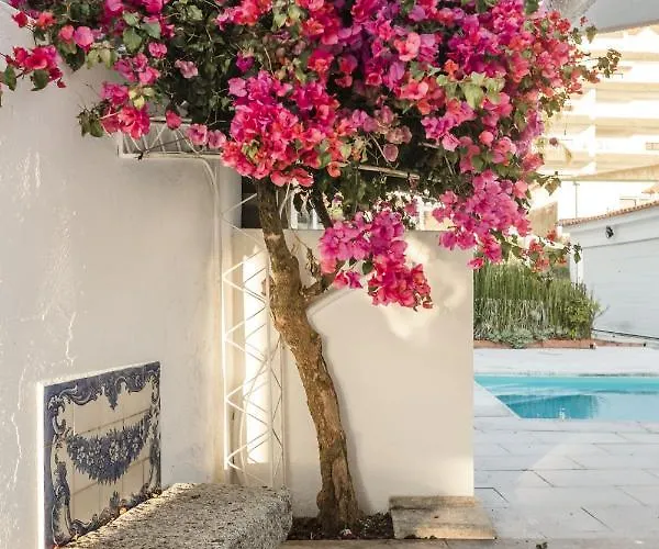 Hébergement de vacances Casa De âncora